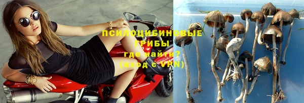 а пвп мука Бронницы